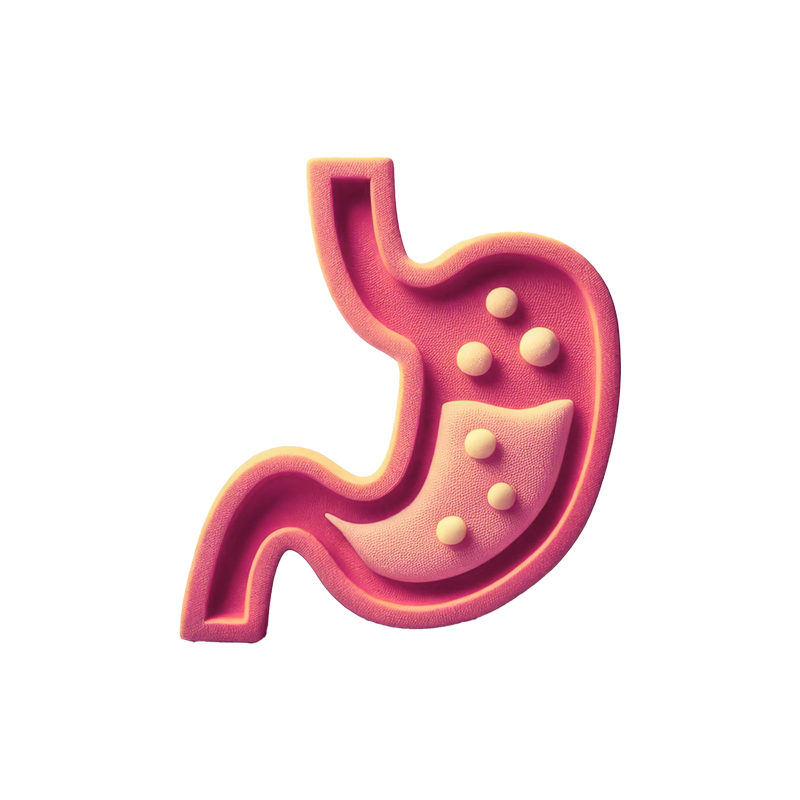 Regulador Intestinal (Lactulose)